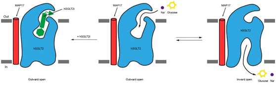 cl20211210-4