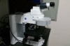 斑马鱼膜蛋白功能检测筛选系统