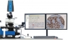 全自动荧光正置显微镜分析系统